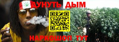 ГАЛЛЮЦИНОГЕННЫЕ ГРИБЫ Усть-Джегута